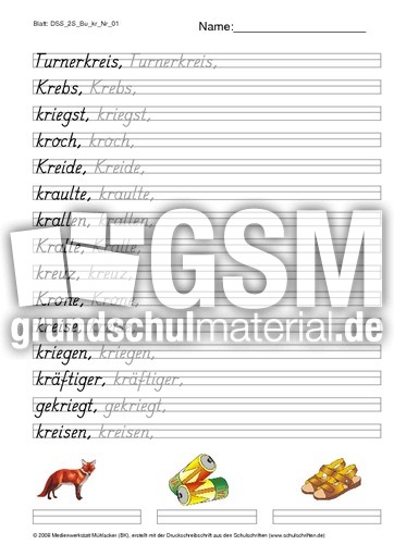 DSS_2S_Bu_kr_Nr_01.pdf